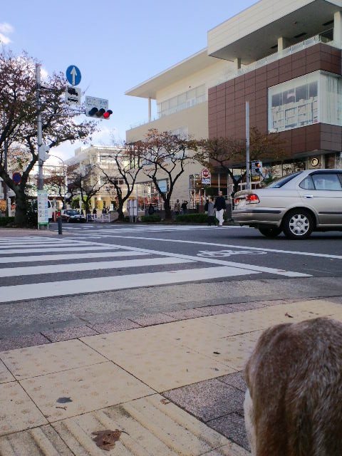 b0234697_18352667.jpg