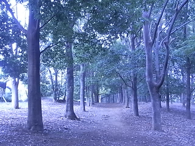 c0130799_14142979.jpg
