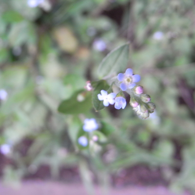 c0130799_143456100.jpg