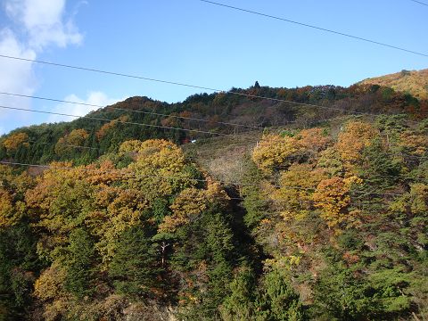 c0079001_1647048.jpg