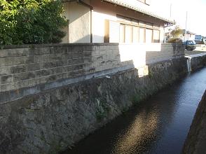 d0240201_1462017.jpg