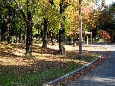 a0040103_1818020.jpg