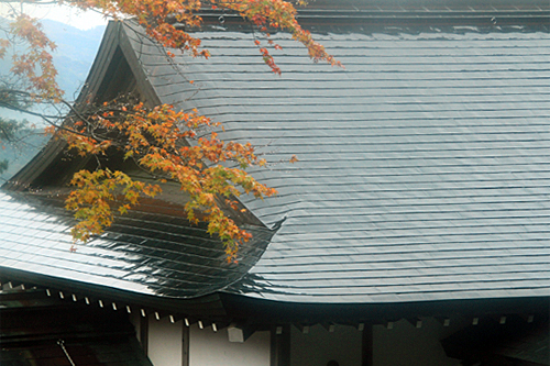 b0014607_19223835.jpg