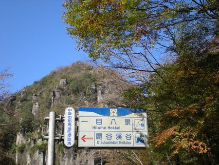b0061107_651240.jpg