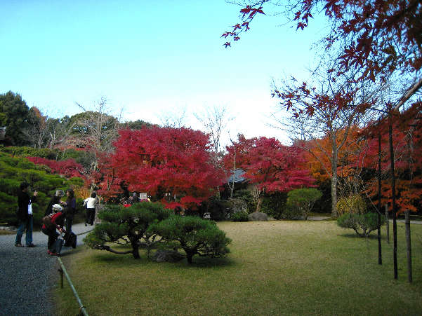 d0154609_9131398.jpg
