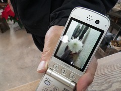 c0190010_2015017.jpg