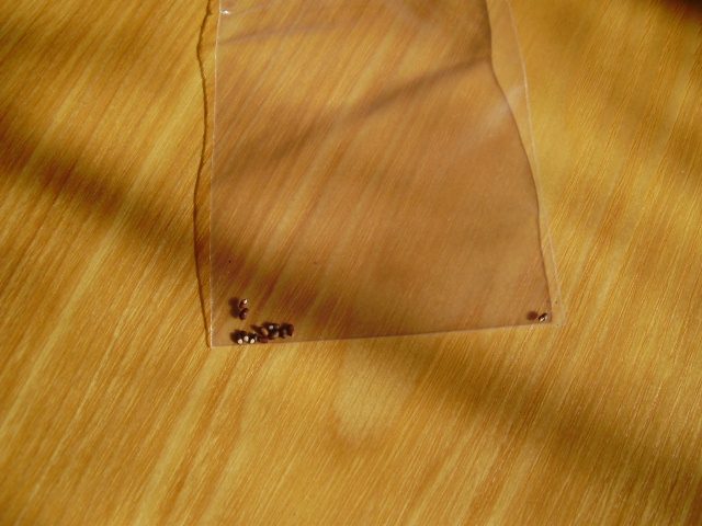 f0153112_1412256.jpg