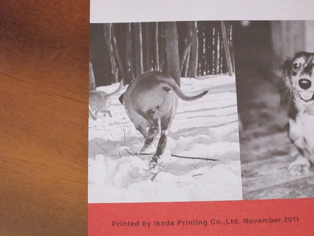 e0192217_13213338.jpg
