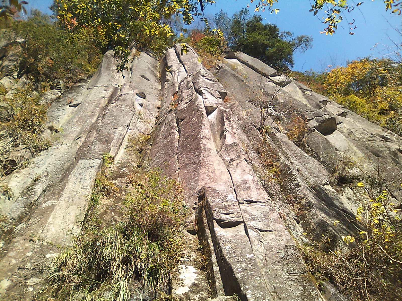 c0210618_14541392.jpg