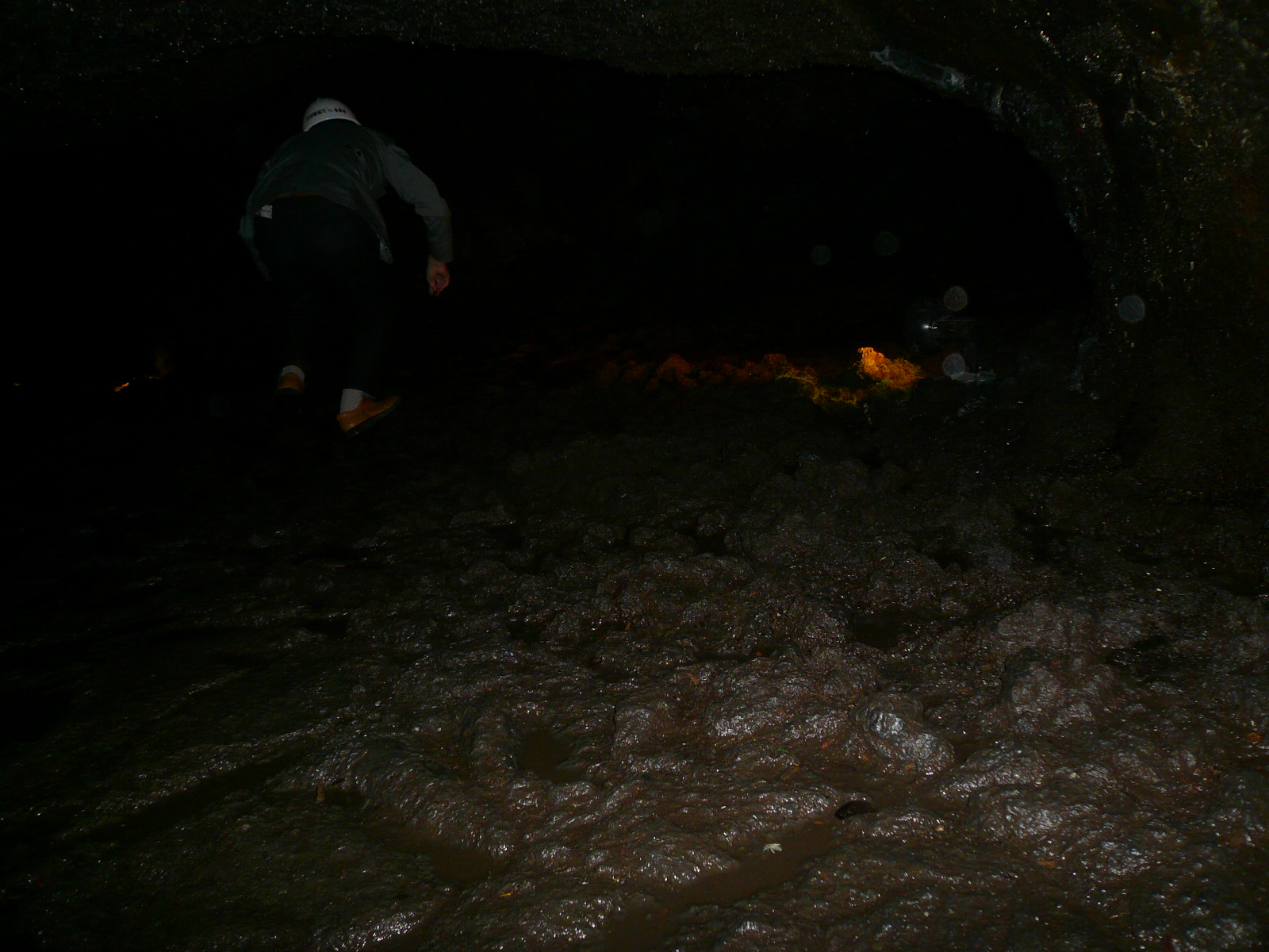 f0163920_17592660.jpg