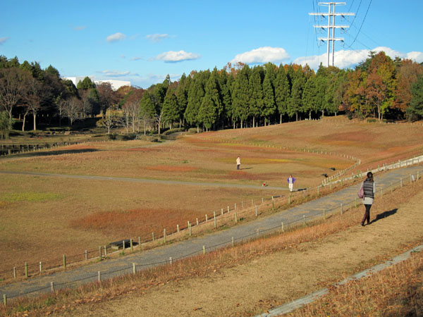 f0147025_19161453.jpg