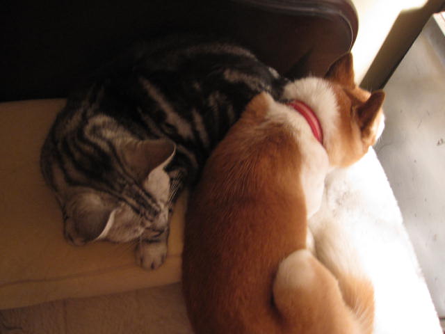 e0191826_2251070.jpg