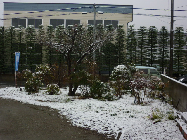 e0131541_22575260.jpg