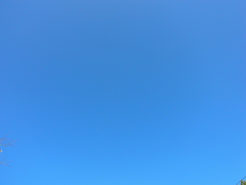 b0190242_21492931.jpg