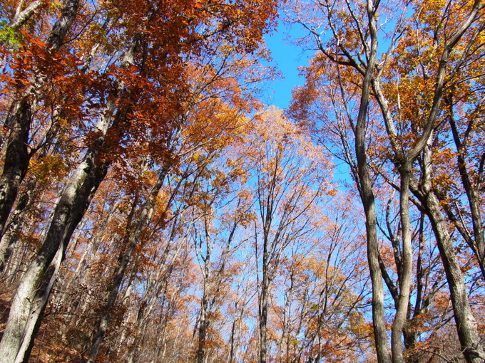 b0190242_2150439.jpg