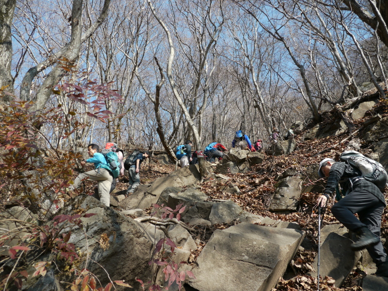 b0190242_2153718.jpg
