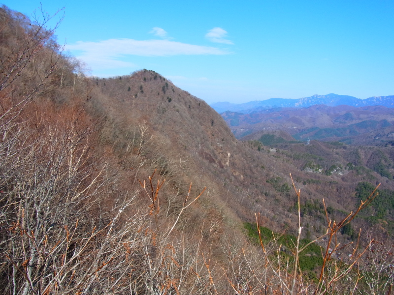 b0190242_21542380.jpg