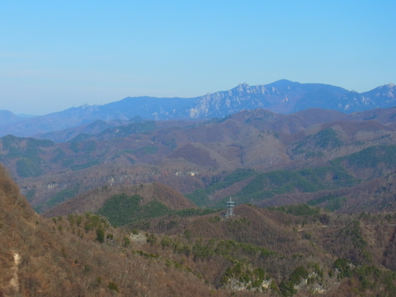 b0190242_2154784.jpg