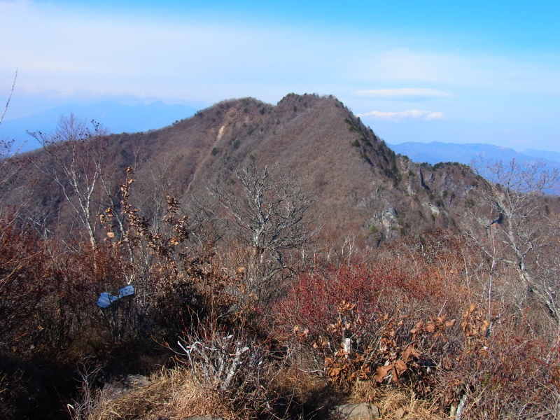 b0190242_2156357.jpg