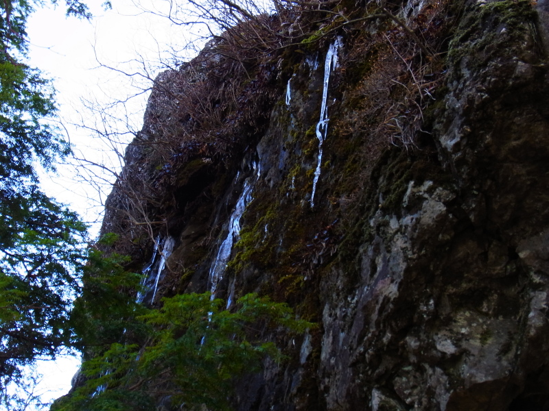 b0190242_2158591.jpg