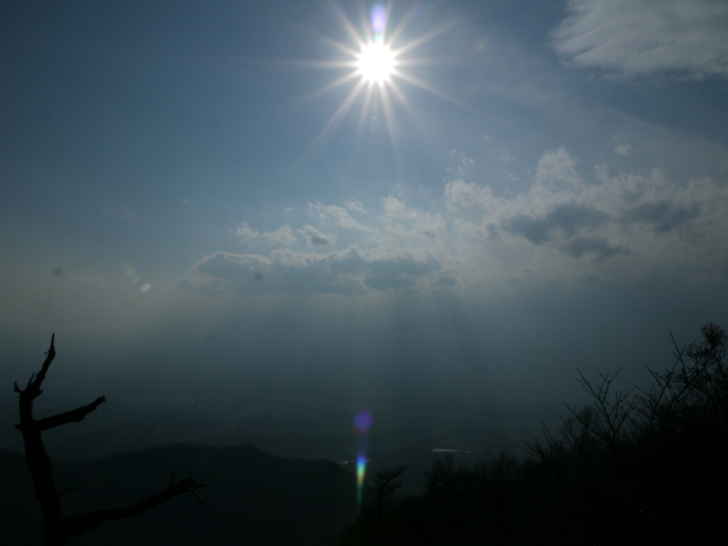 b0190242_2201326.jpg