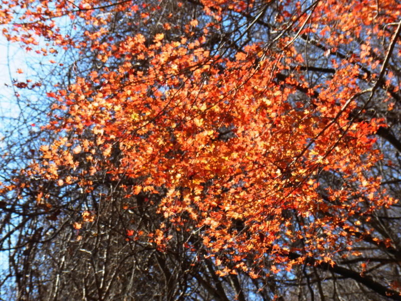 b0190242_224224.jpg