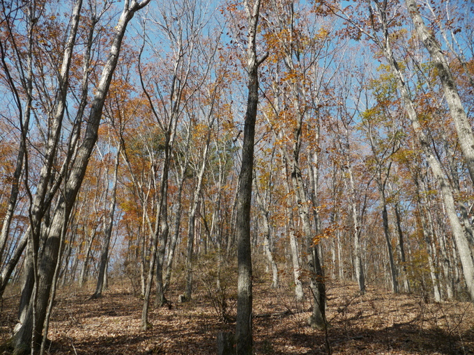 b0190242_2264975.jpg