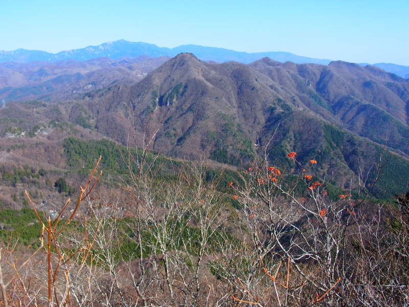 b0190242_2282562.jpg