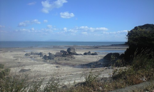 e0163044_13585459.jpg