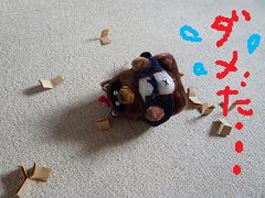 f0128146_16144087.jpg