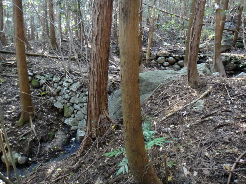 c0179351_2004252.jpg