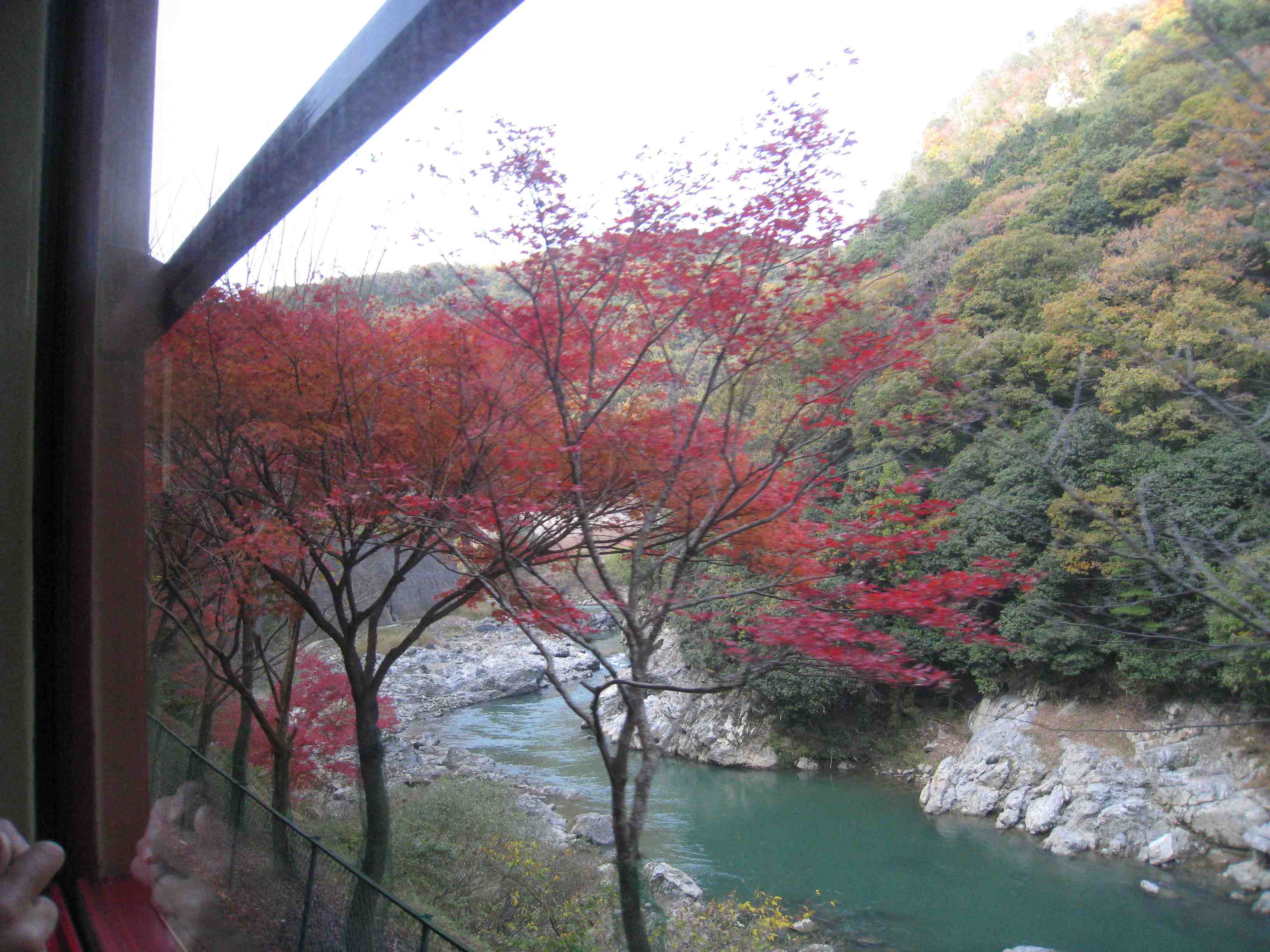 f0233356_8101586.jpg