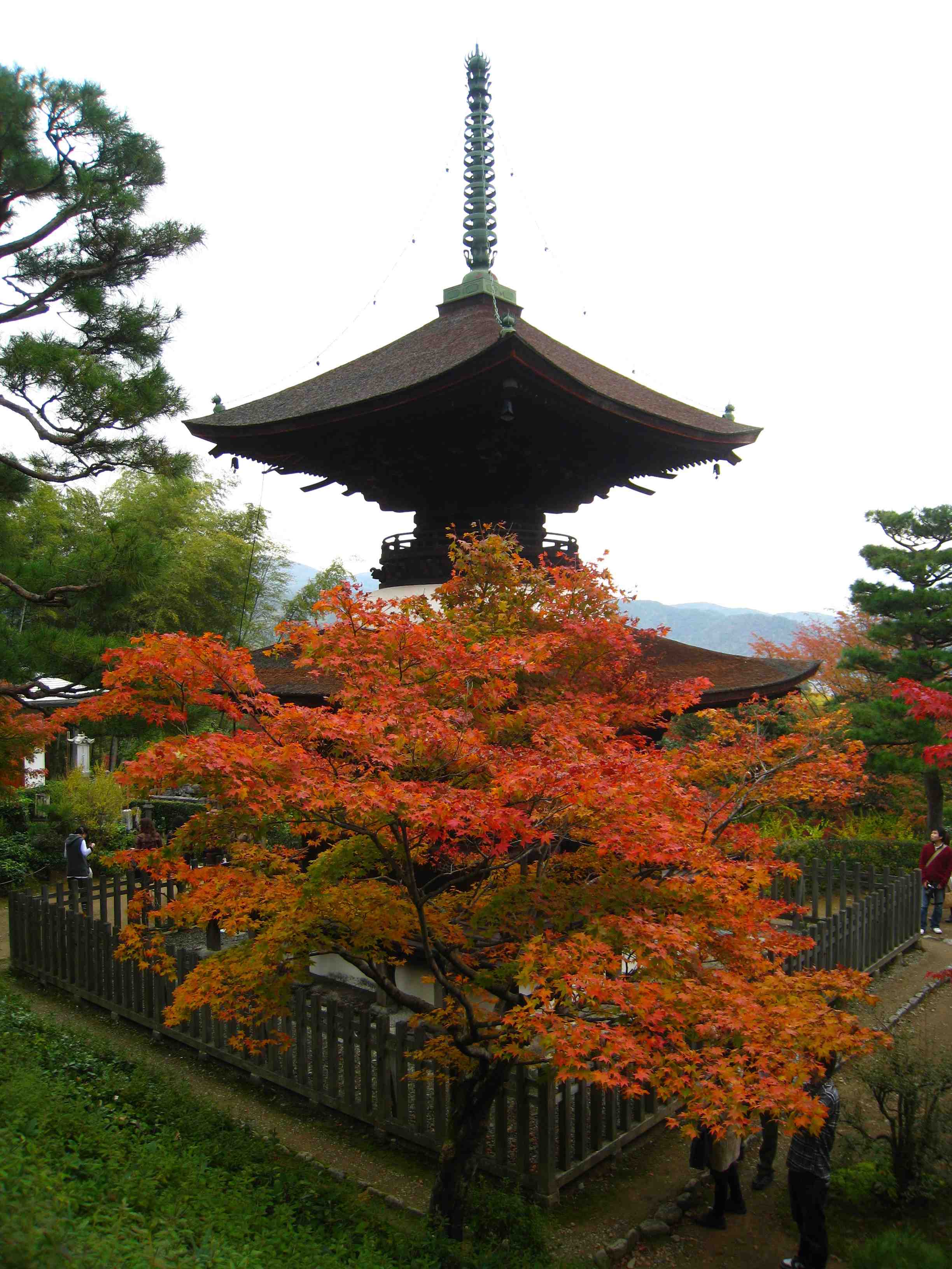 f0233356_8391364.jpg