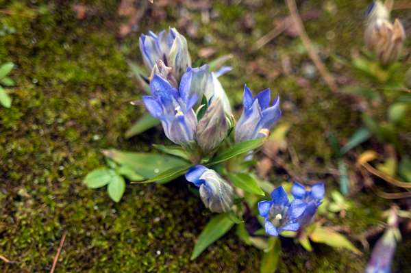 f0176458_1047399.jpg