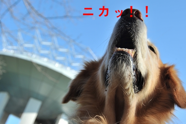 e0020166_2072338.jpg