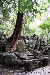f0207669_9483276.jpg
