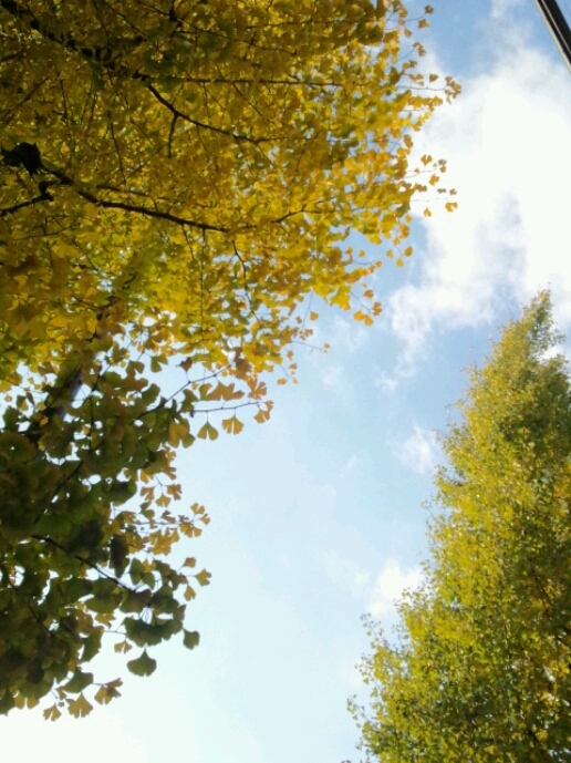 c0032771_1391445.jpg