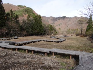 d0134473_150135.jpg