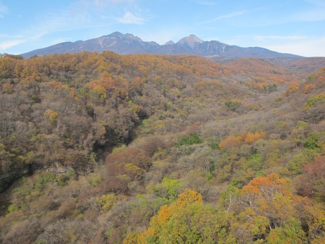 a0091680_1653950.jpg