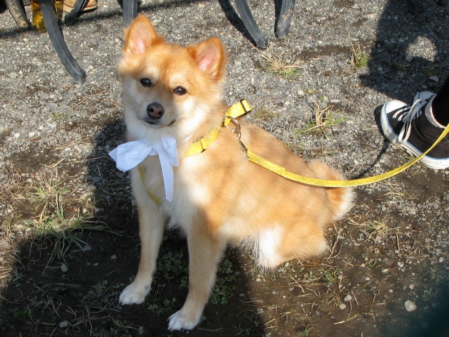 f0230380_20301723.jpg