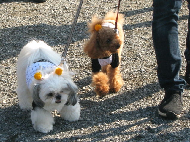 f0230380_2047558.jpg
