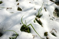 c0057781_1050458.jpg