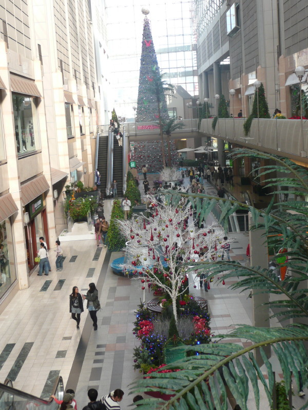 b0118987_6491686.jpg