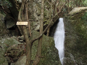 c0018489_0101747.jpg
