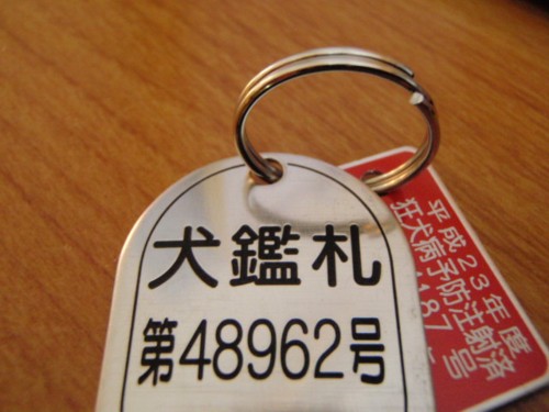 d0113189_1122336.jpg