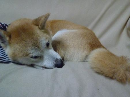 c0123890_20313289.jpg