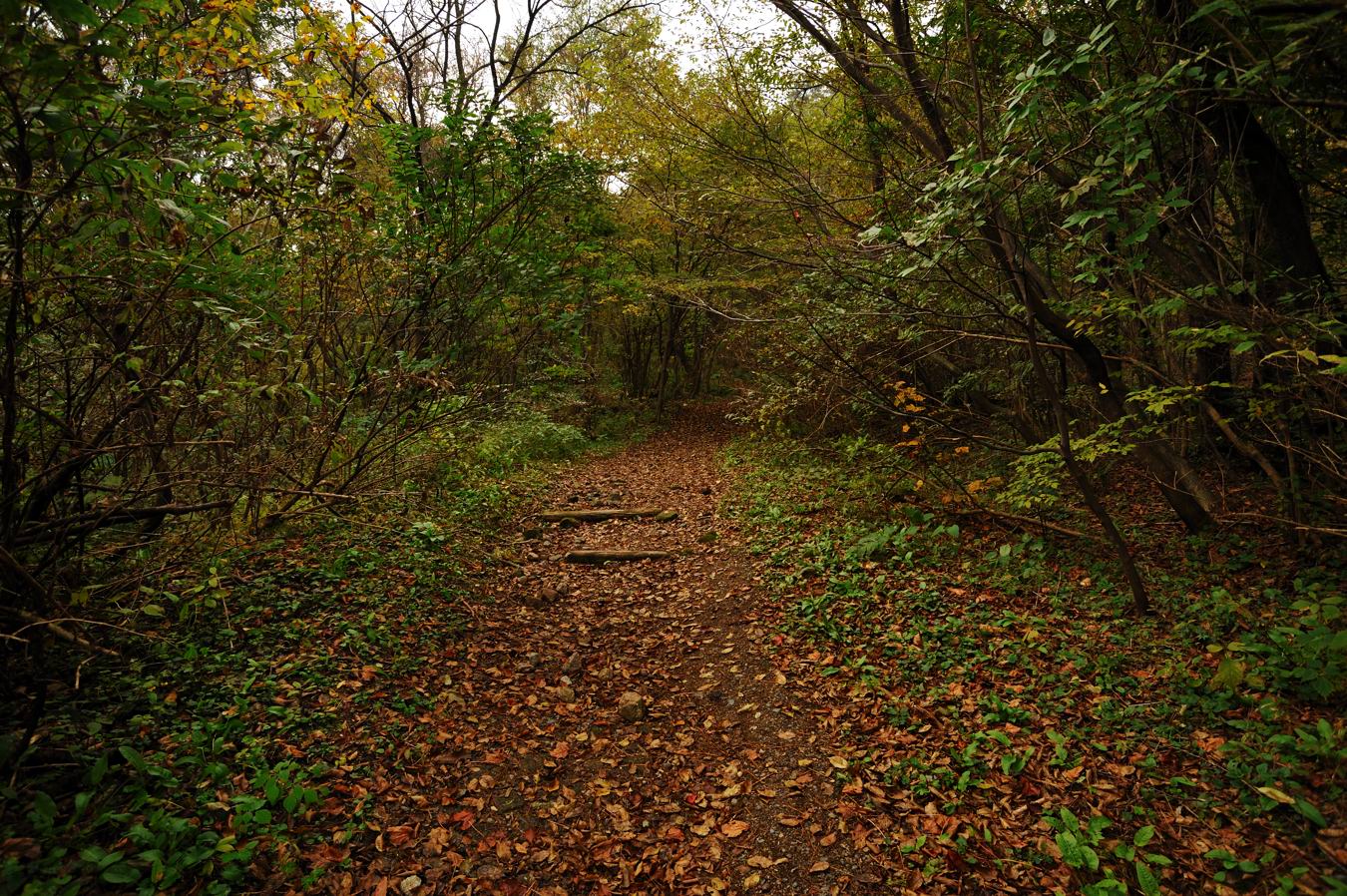 c0138991_22235514.jpg