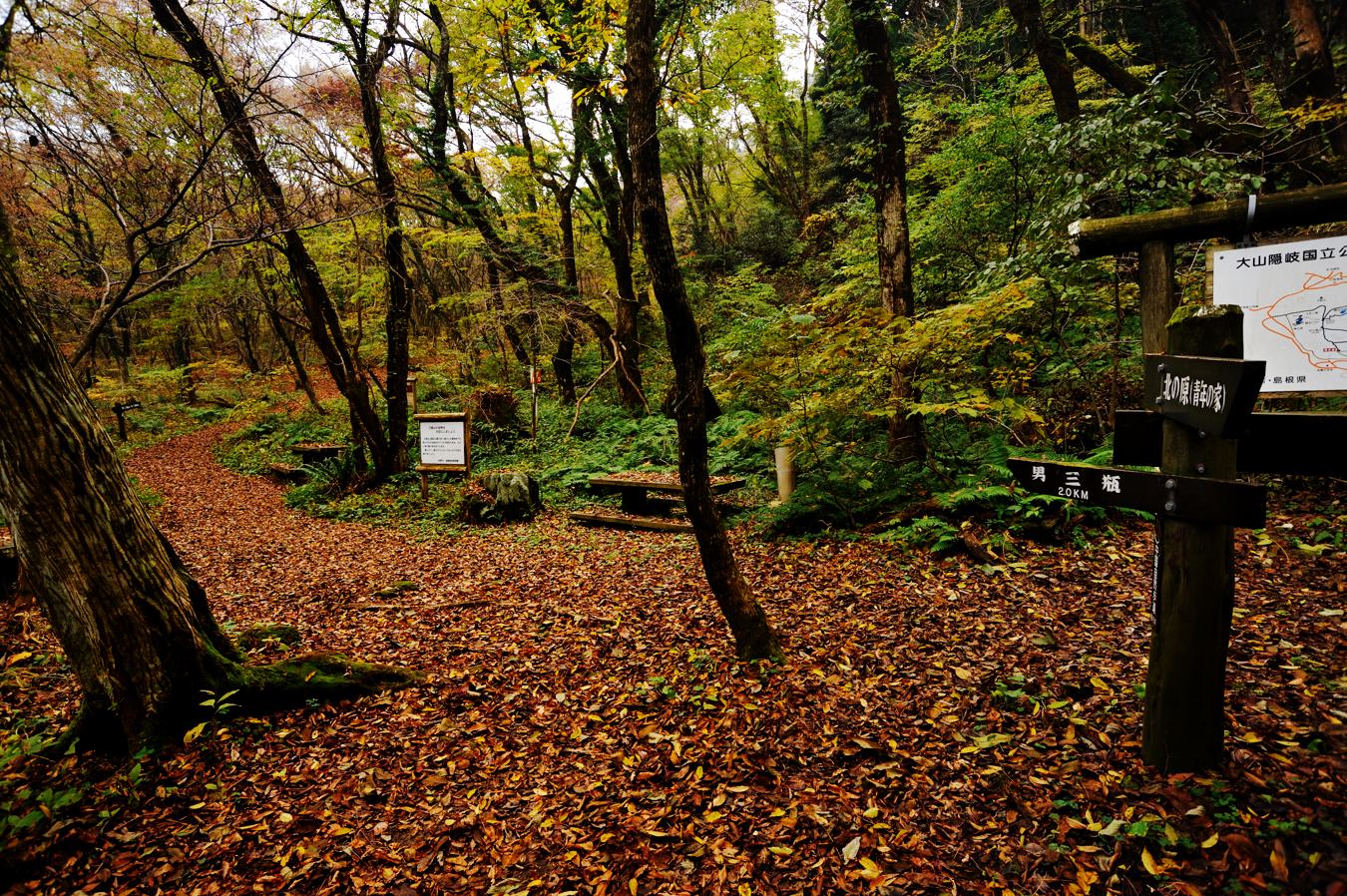 c0138991_2231172.jpg
