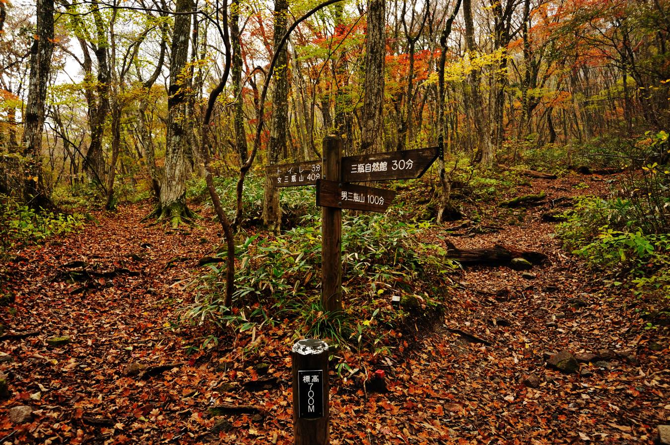 c0138991_224653100.jpg