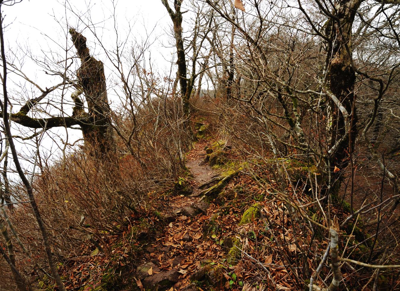 c0138991_232497.jpg